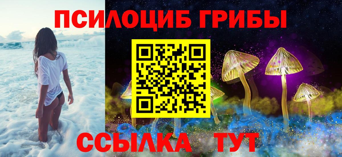 Галлюциногенные грибы GOLDEN TEACHER Кимры