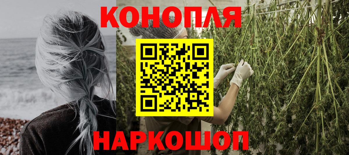 Бошки марихуана план  Канабис марихуана  Вход с VPN  Кимры 